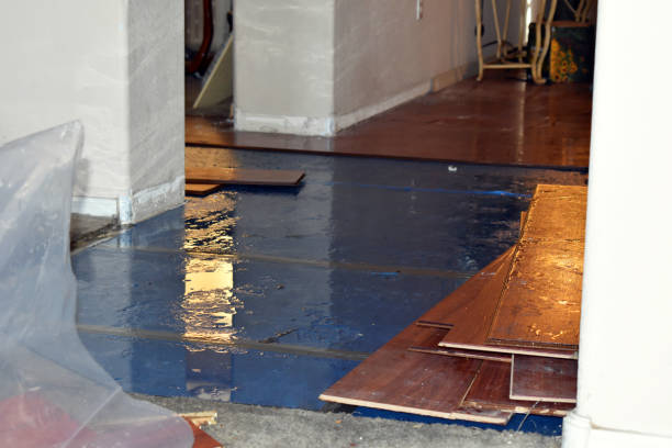 Professional Basement Flood Cleanup technician working in Cliffside Park, NJ